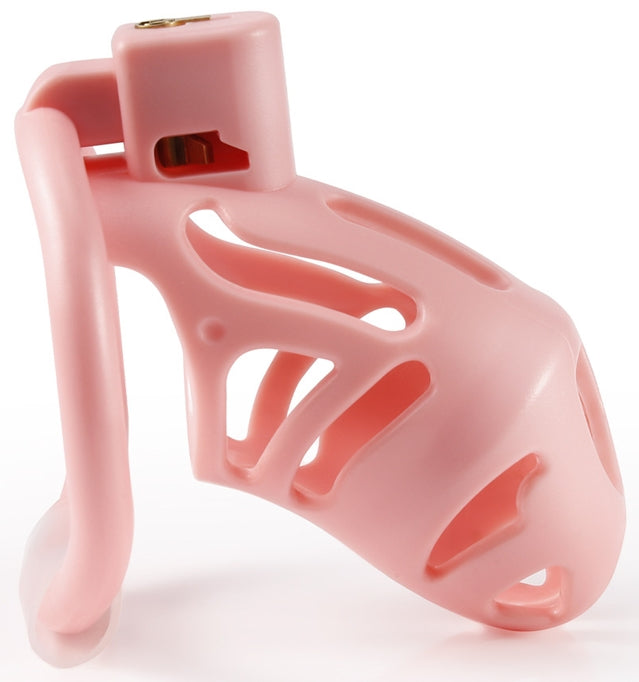 e9de821b-ecea-4747-8d8d-70b064e8f310