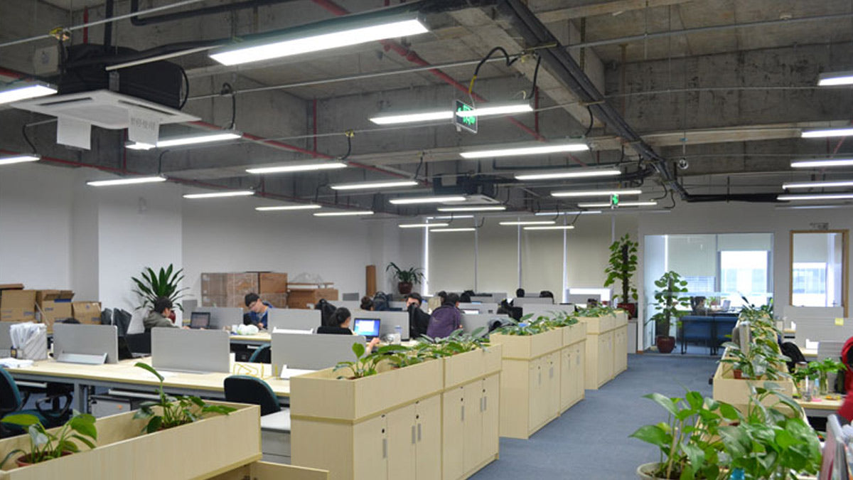 b26859f8-6258-470b-944a-9e5268b52c11