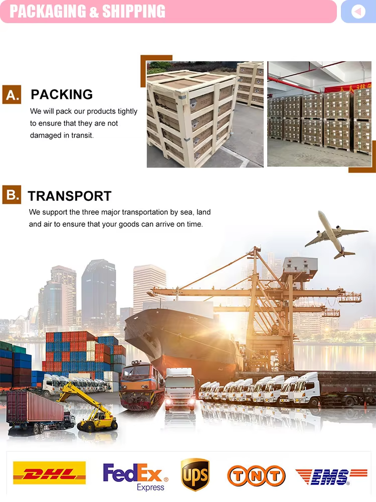 368e8781-3d42-44bc-b491-ba1098bc921c