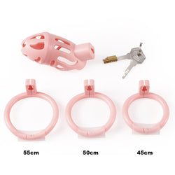 6bd20ea7-94d9-49cb-b4a7-08019e32a82d