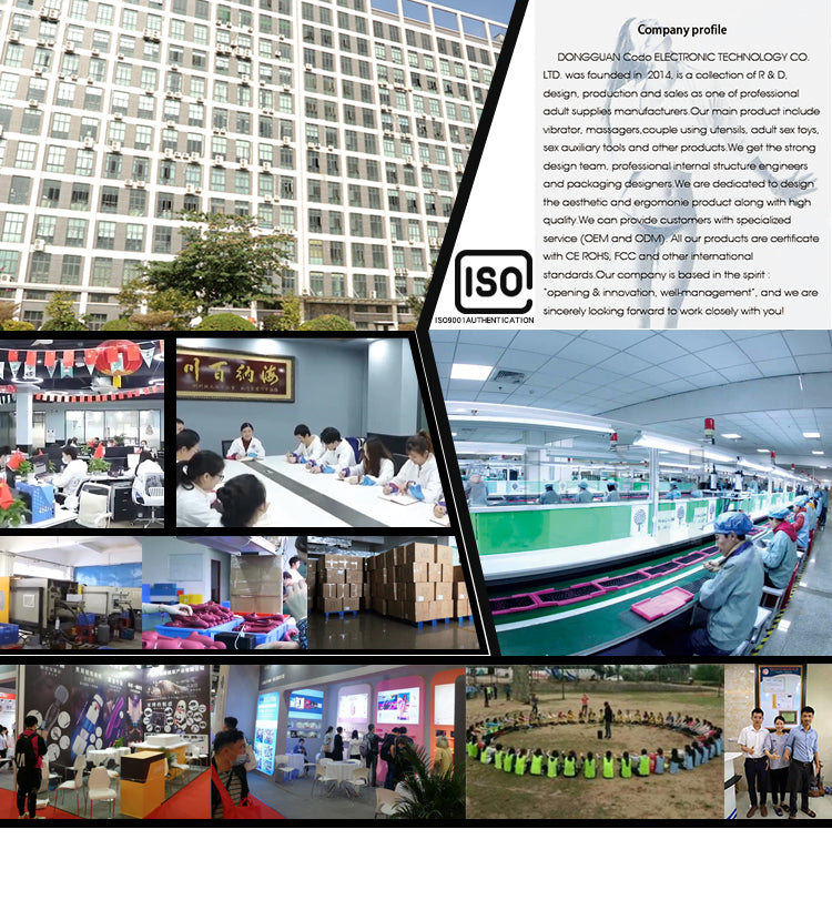 e069ebd5-d618-4070-aeb6-ab11a2ae624f