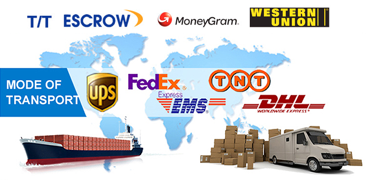 1cb891d5-7acb-4109-b509-3c212c6c3845