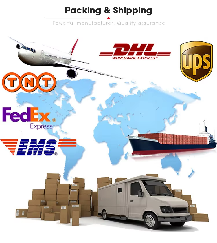 66acd80d-dabf-442b-9d48-26cce1c988cd